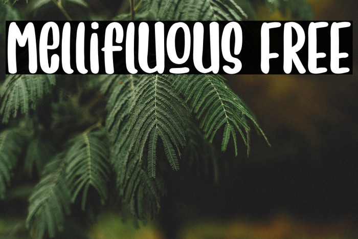 Mellifluous FREE Example 2