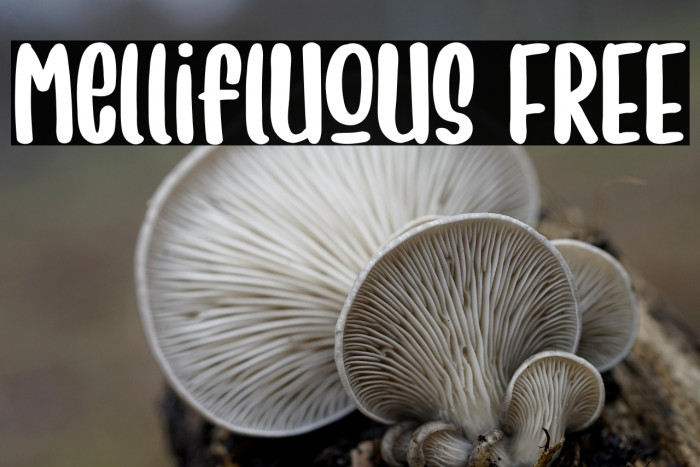 Mellifluous FREE Example 3