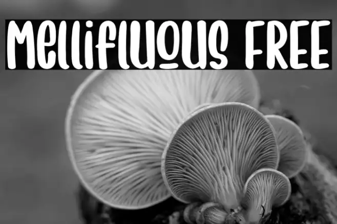 Mellifluous FREE Example 3