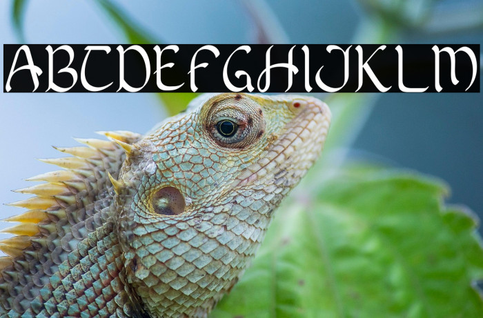 Mellifluous Example 3