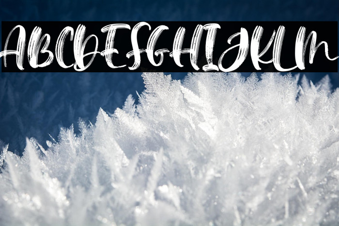 Mellina Nidda Example 2