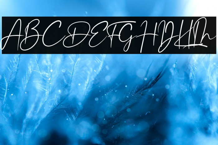 Mellinda Creative Example 3