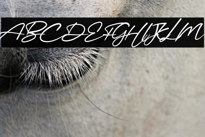 Mellinda Handmade Example 1