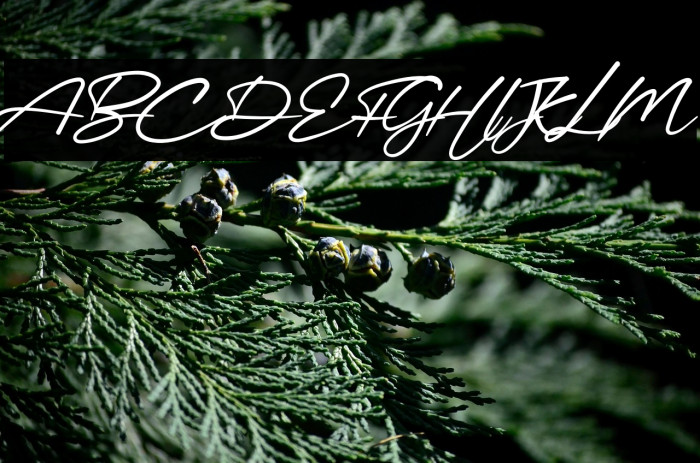 Mellinda Handmade Example 2