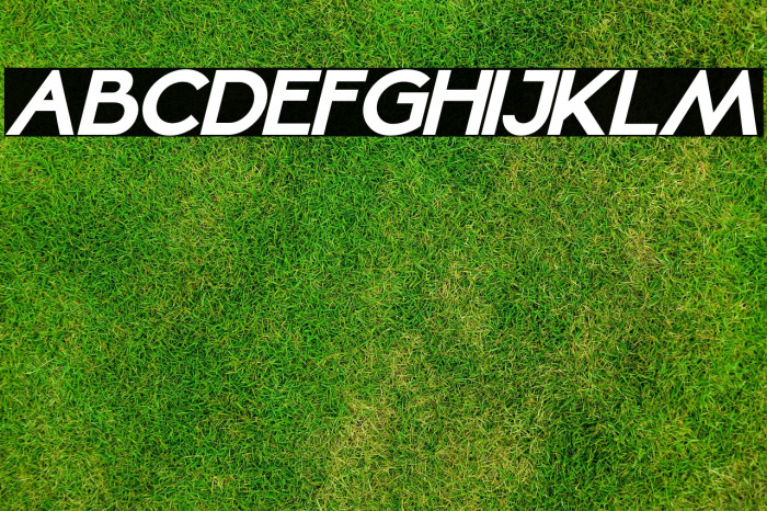 Mellinda Lopez Italic Example 3