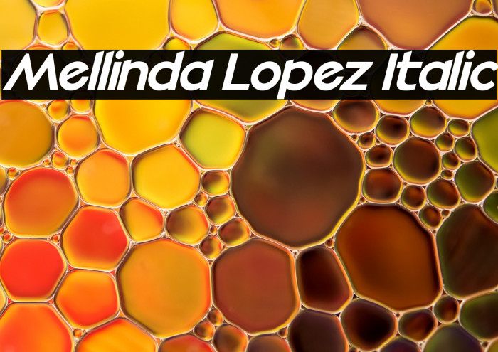 Mellinda Lopez Italic Example 1