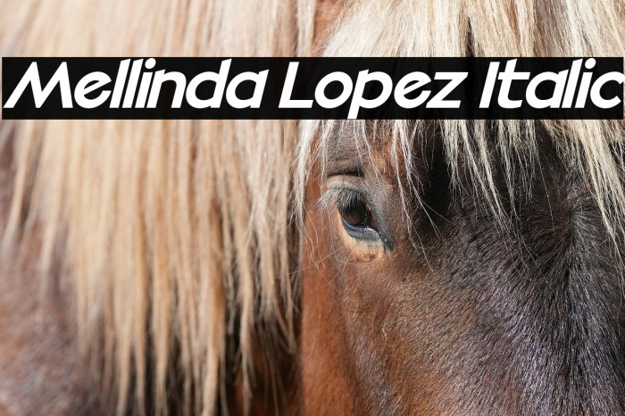 Mellinda Lopez Italic Example 2
