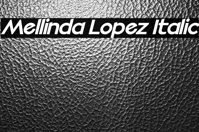 Mellinda Lopez Italic Example 3