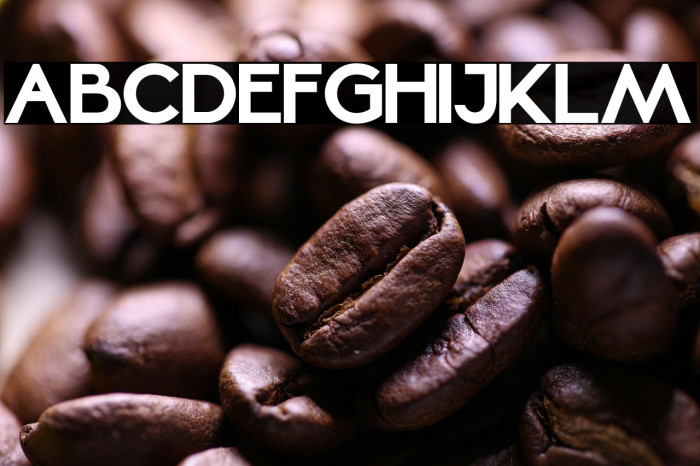 Mellinda Lopez Example 1