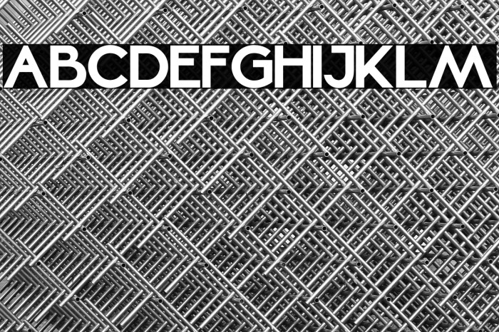 Mellinda Lopez Example 3