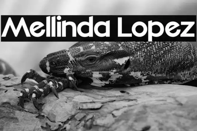 Mellinda Lopez Font examples