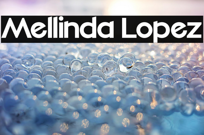Mellinda Lopez Example 2
