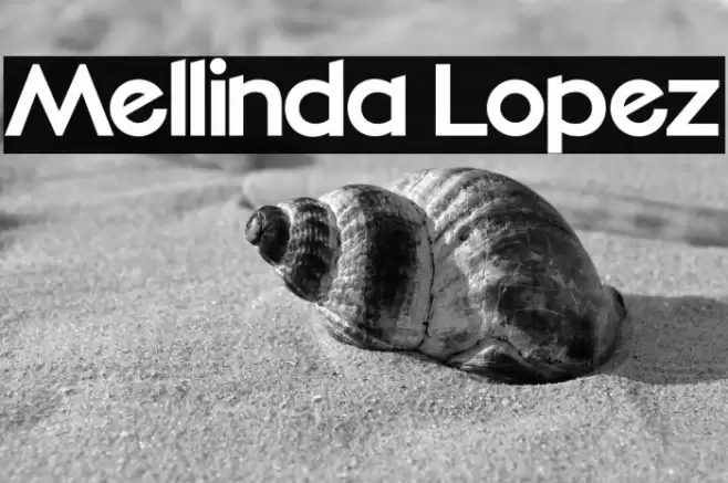 Mellinda Lopez Font examples