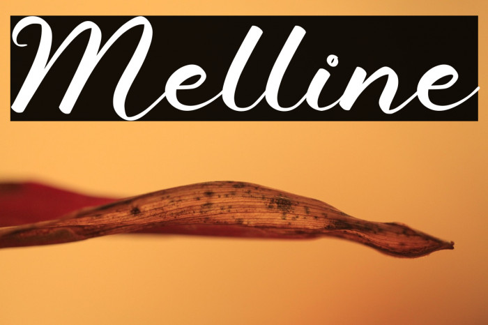 Melline Example 3