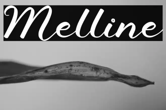 Melline Font examples