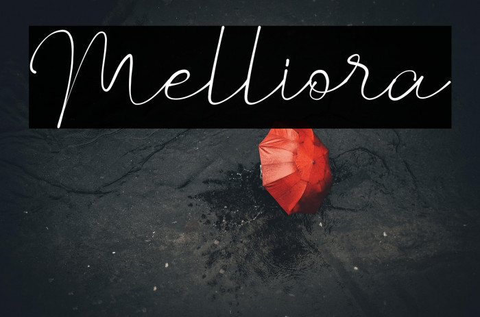 Melliora Example 1
