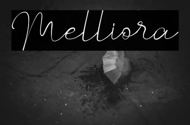 Melliora Font examples