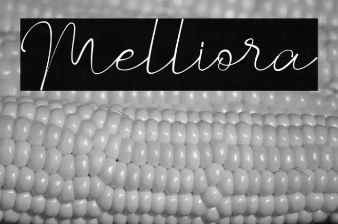 Melliora Font examples