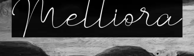 Melliora Font examples