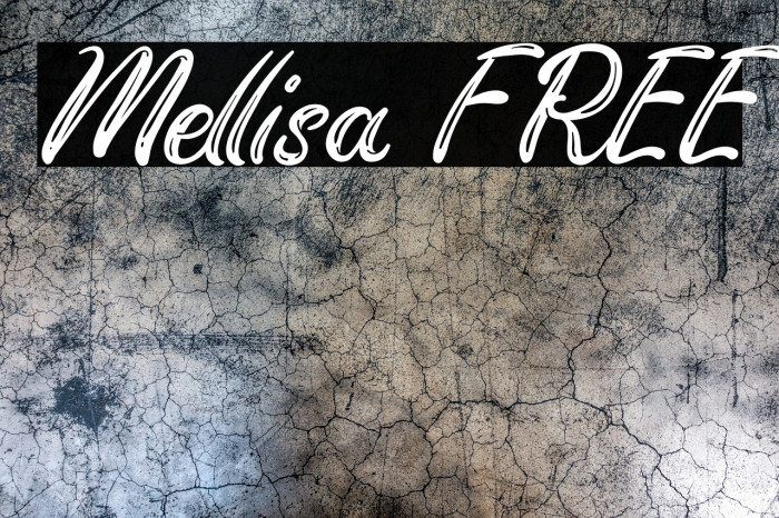 Mellisa FREE Example 1