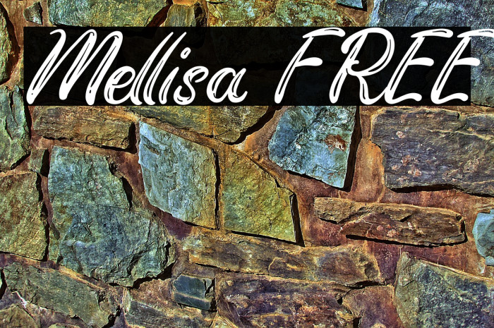 Mellisa FREE Example 2