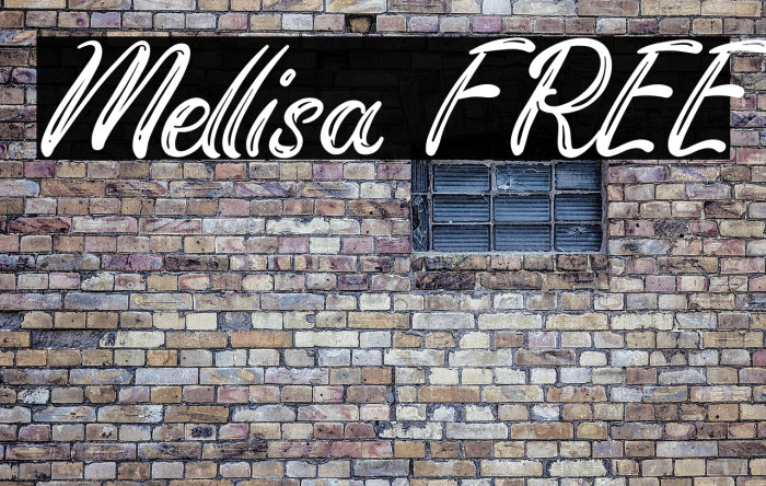 Mellisa FREE Example 3