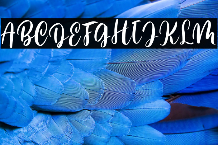 Mellisa Jonathan Example 2