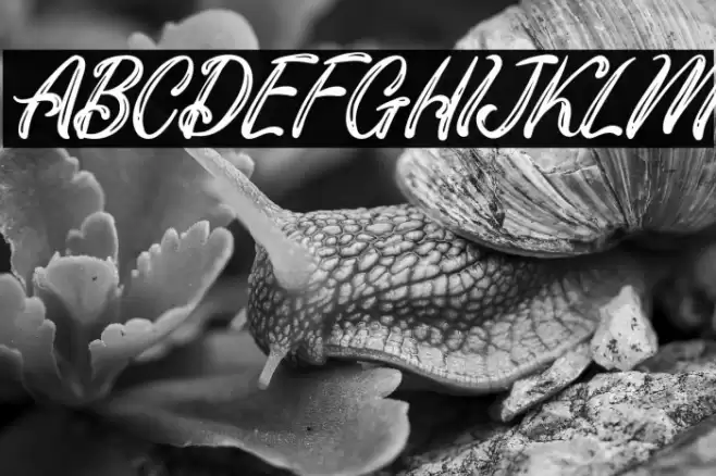 MellisaFREE Font examples