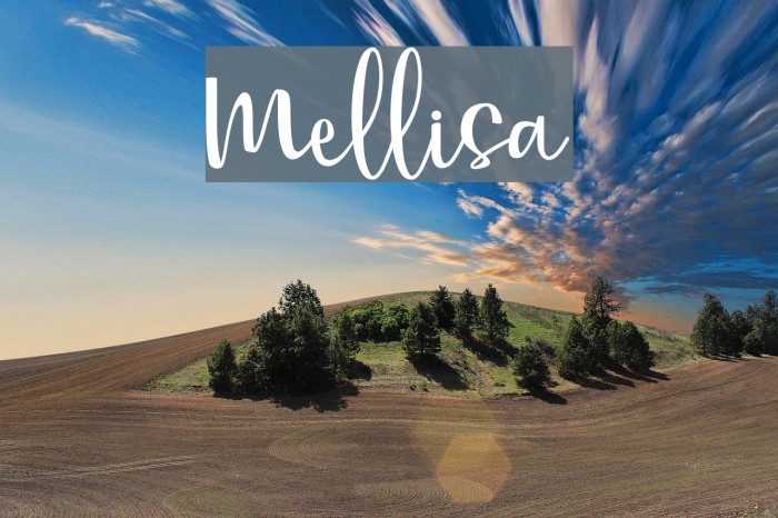 Mellisa Font examples