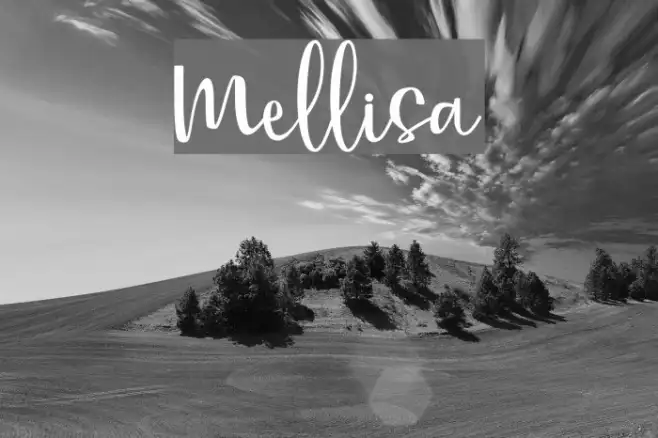 Mellisa Example 1