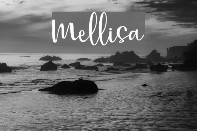 Mellisa Example 2