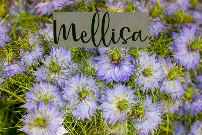 Mellisa Font examples
