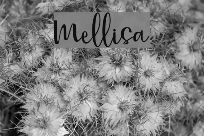 Mellisa Example 3