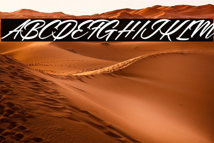 Mellissa Personal Use Regular Example 2