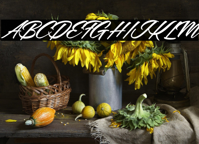 Mellissa Personal Use Regular Example 3