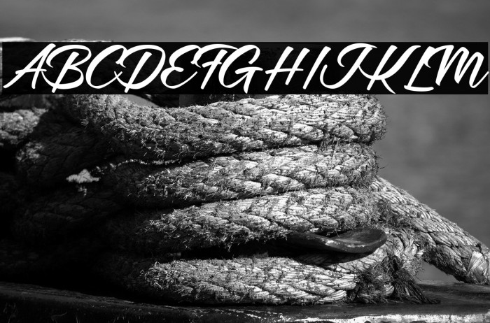 Mellissa Two personal Use Regular Example 3