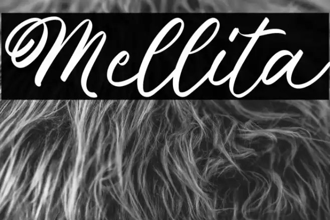 Mellita Font examples