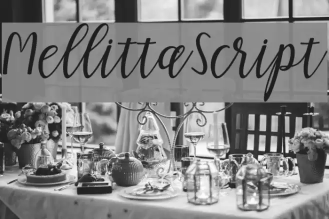 MellittaScript Font examples