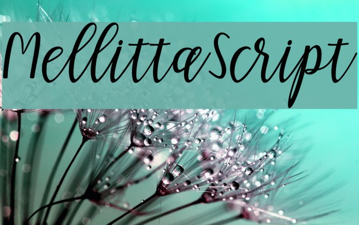 MellittaScript Font examples