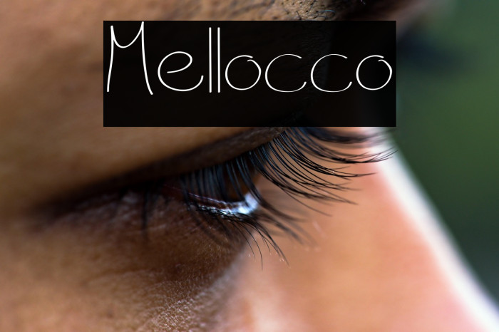 Mellocco Example 2
