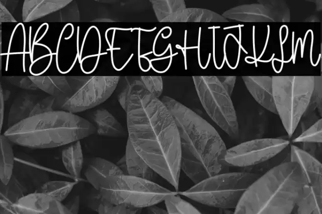 Mellody Font examples