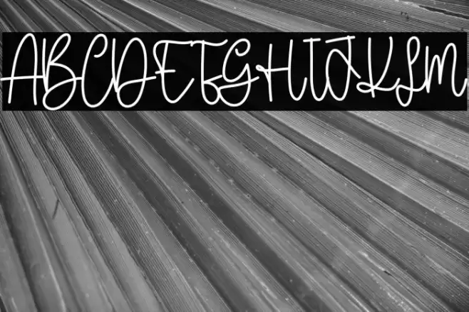 Mellody Font examples