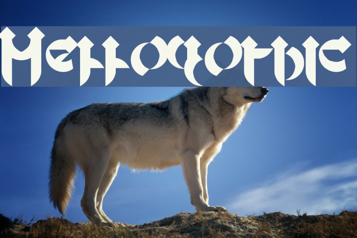 Mellogothic Font examples
