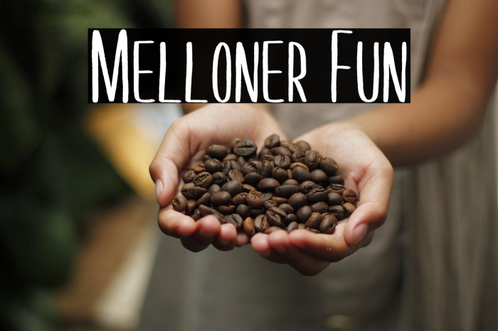 Melloner Fun Example 1