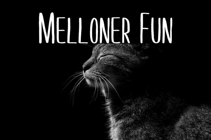 Melloner Fun Example 3