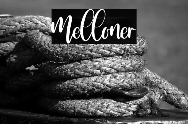 Melloner Example 1