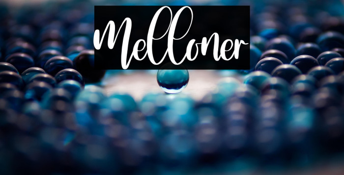 Melloner Example 2