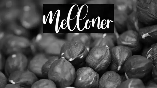 Melloner Example 3