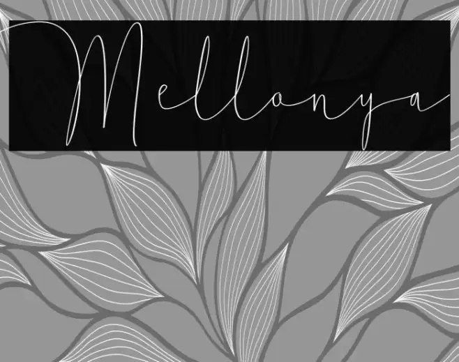 Mellonya Example 1
