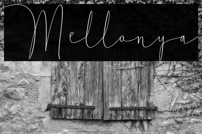 Mellonya Example 2